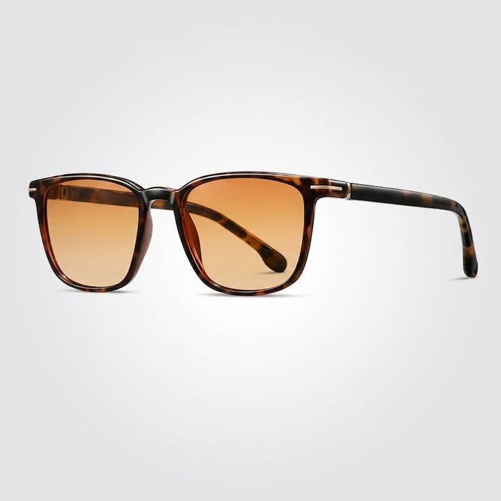Hollis Polarized Sunglasses
