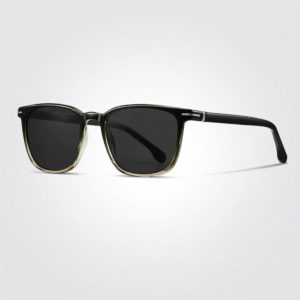 Hollis Polarized Sunglasses